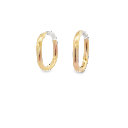 Fancy Shape Hoop Earrings