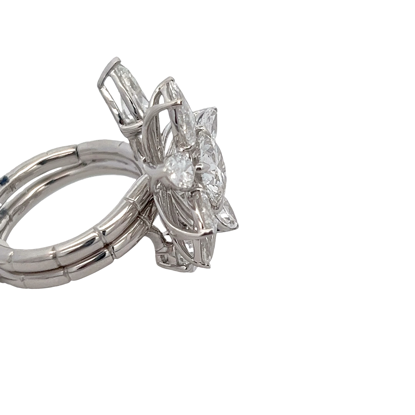 Flower and Vine 2 Finger Fashion Ring