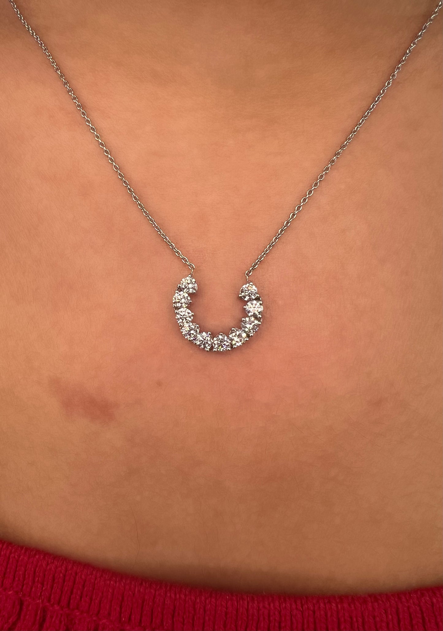Horseshoe Necklace