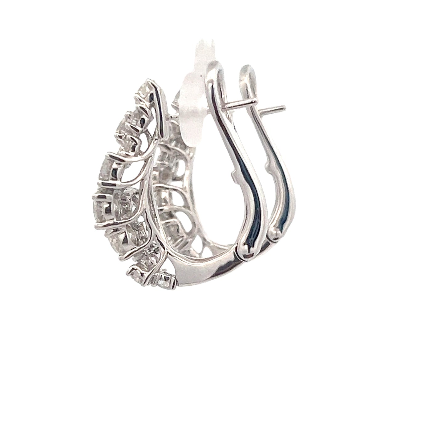 Elegant Diamond Earrings