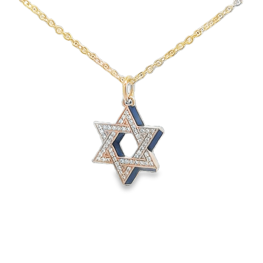 Enamel Star of David Necklace