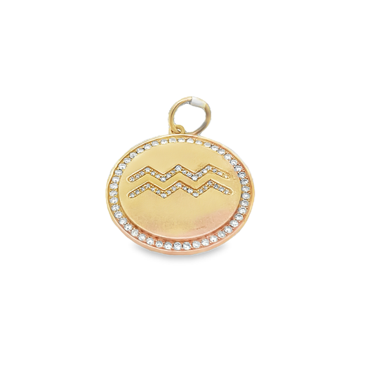 Zodiac Pisces Charm