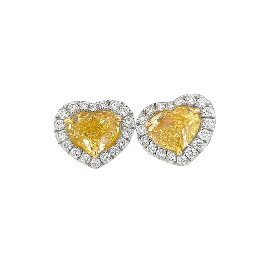Halo Heart Shape Earrings
