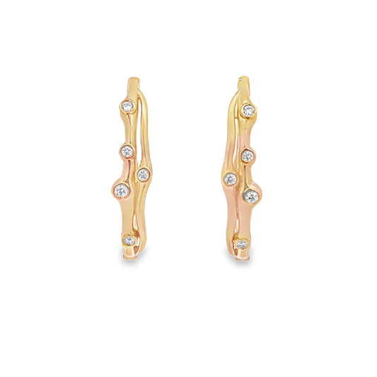 Elegant Gold Hoop Earrings